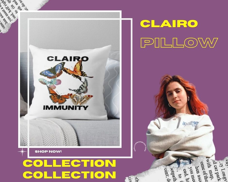 No edit clairo pillow - Clairo Shop